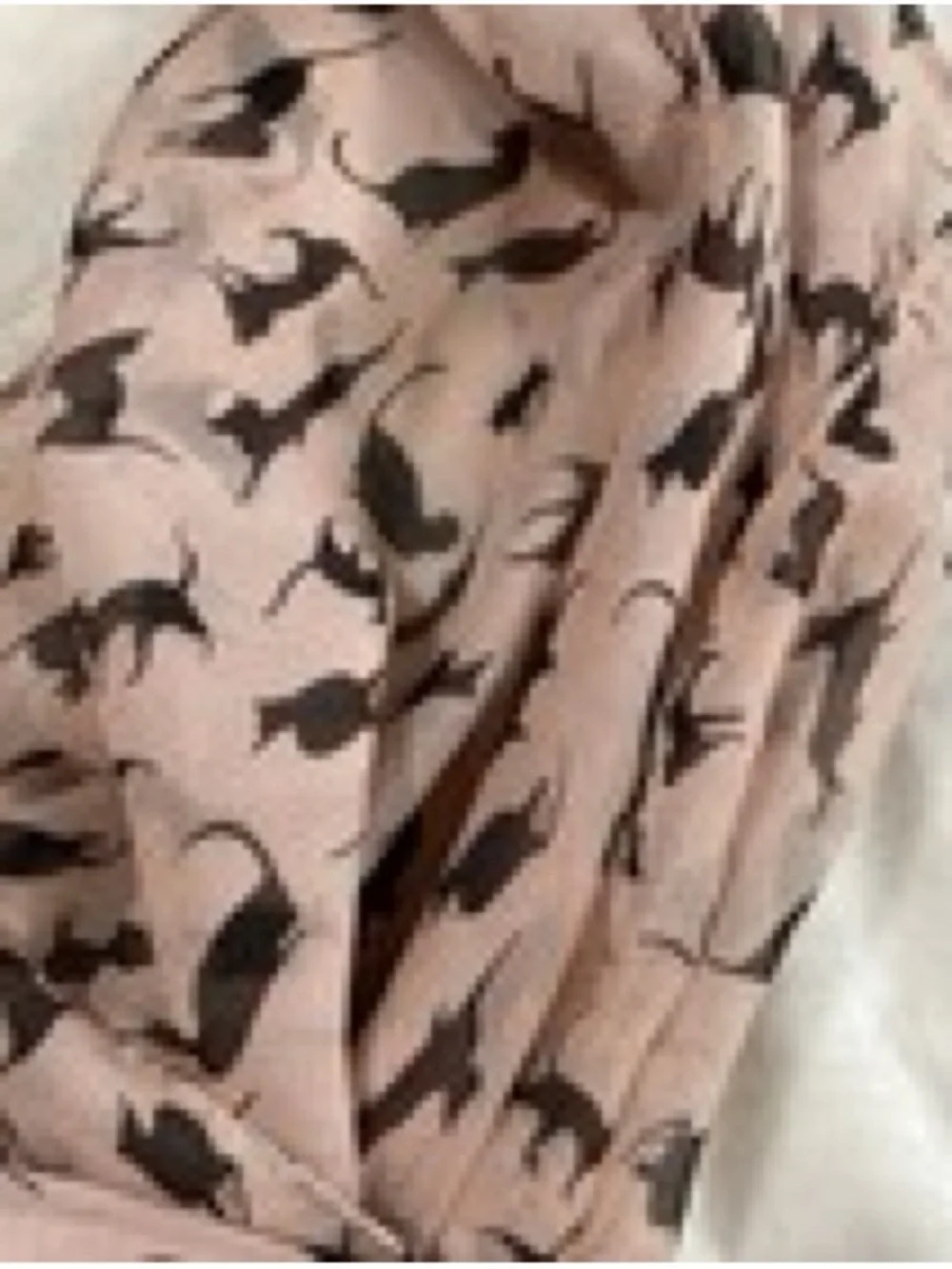 Chiffon Black Cat Scarf